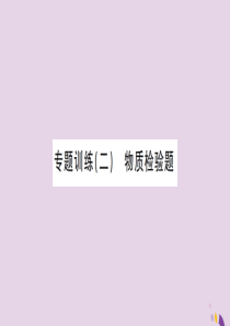 湖北省2019中考化学一轮复习 专题训练（二）物质检验题课件