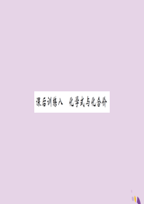 湖北省2019中考化学一轮复习 课后训练八 化学式与化合价习题课件