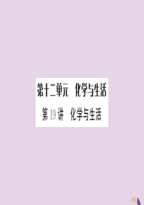 湖北省2019中考化学一轮复习 第十二单元 第19讲 化学与生活课件