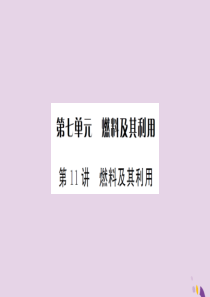 湖北省2019中考化学一轮复习 第七单元 第11讲 燃料及其利用课件