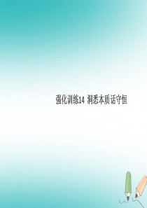 湖北省2018年秋九年级化学上册 强化训练14 洞悉本质话守恒练习课件 （新版）新人教版