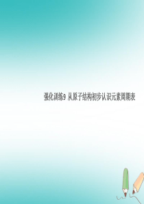 湖北省2018年秋九年级化学上册 强化训练9 从原子结构初步认识元素周期表练习课件 （新版）新人教版