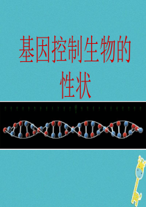 河南省武陟县八年级生物下册 7.2.1基因控制生物的性状课件 （新版）新人教版