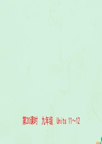 河南省2019年中考英语总复习 第20课时 九全 Units 11-12课件 人教新目标版