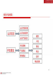 （泛地和联）大丰项目初步认识及建议（终稿）