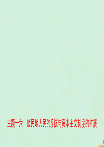 河南省2019年中考历史一轮复习 世界近代史 主题十六 殖民地人民的反抗与资本主义制度的扩展课件