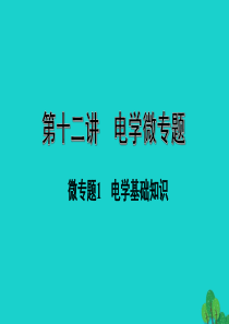 海南省2020年中考物理一轮复习 考点通关 第十二讲 电学微专题1 电学基础知识课件