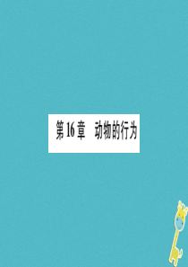 广西省玉林市2018年八年级生物上册 第五单元 第16章 第1节 先天性行为和后天学习行为课件 （新