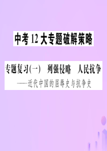 广西2019年中考历史总复习 专题复习（一）列强侵略 人民抗争课件 新人教版