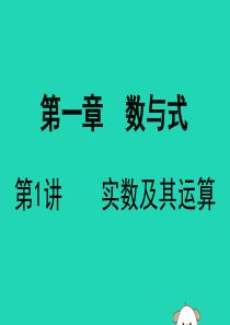 广东省深圳市2019届中考数学复习 第一章 数与式 第1课时 实数课件