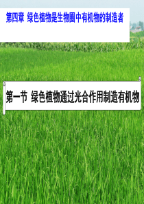 广东省汕头市七年级生物上册 3.4.1 绿色植物是生物圈中有机物的制造者课件 （新版）新人教版