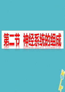 广东省河源市七年级生物下册 4.6.2 神经系统的组成课件 （新版）新人教版