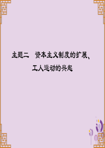 广东省2019中考历史总复习 第一部分 世界近代史 主题二 资本主义制度的扩展、工人运动的兴起（习题