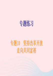 广东省2019年中考道德与法治总复习 专题突破10 坚持改革开放 走向共同富裕课件