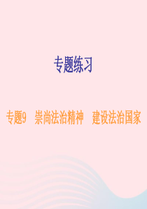 广东省2019年中考道德与法治总复习 专题突破9 崇尚法治精神 建设法治国家课件