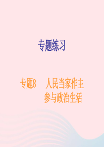 广东省2019年中考道德与法治总复习 专题突破8 人民当家作主 参与政治生活课件