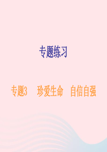 广东省2019年中考道德与法治总复习 专题突破3 珍爱生命 自信自强课件