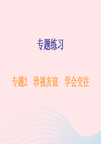 广东省2019年中考道德与法治总复习 专题突破2 珍视友谊 学会交往课件