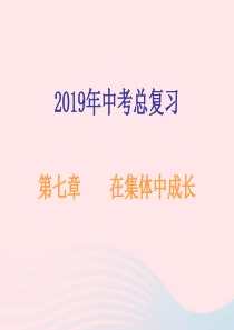 广东省2019年中考道德与法治总复习 七下 第七章 在集体中成长课件