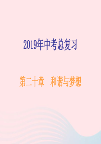 广东省2019年中考道德与法治总复习 九上 第二十章 和谐与梦想课件