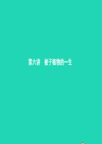 甘肃省2019年中考生物总复习 第六讲 被子植物的一生课件