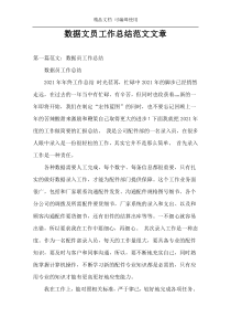 数据文员工作总结范文文章