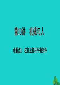 福建省2020年中考物理一轮复习 基础考点一遍过 第13讲 机械与人 命题点1 杠杆及杠杆平衡条件课