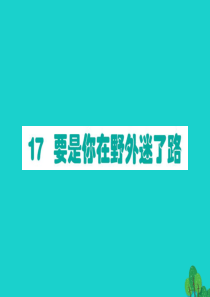 二年级语文下册 课文5 17要是你在野外迷了路作业课件 新人教版