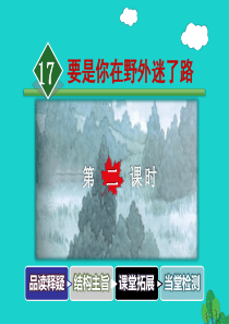 二年级语文下册 课文5 17要是你在野外迷了路教学课件2 新人教版