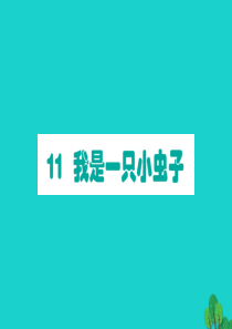 二年级语文下册 课文3 11我是一只小虫子作业课件 新人教版