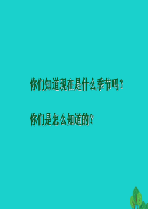 二年级语文下册 课文1 2找春天教学课件 新人教版