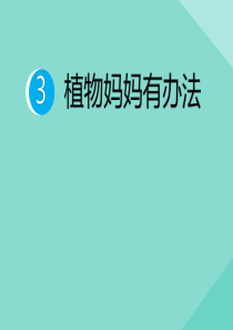 二年级语文上册 第一单元 课文1 第03课 植物妈妈有办法作业课件 新人教版