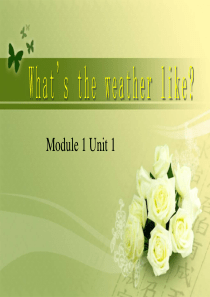 二年级英语下册 Module 1 Unit 1 What’s the weather like课件2