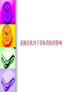 金融危机对于招标投标的影响（PPT 43页）