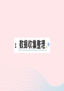 二年级数学下册 1 数据收集整理作业课件 新人教版