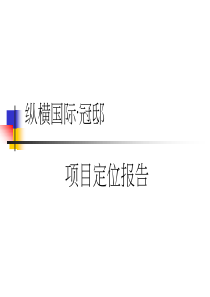 纵横国际地产冠邸项目定位报告