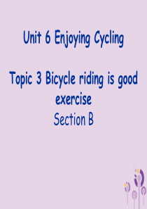 八年级英语下册 Unit 6 Enjoying Cycling Topic 3 bicycle ri