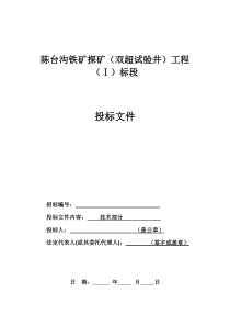 陈台沟铁矿探矿(双超试验)井工程(Ⅰ标段)投标文件(技术标6-18定稿稿)