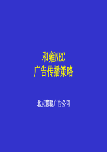 和雍NEC99年度广告传播策略