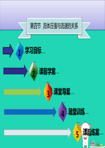 八年级物理下册 第九章 第四节 流体压强与流速的关系习题课件 （新版）新人教版