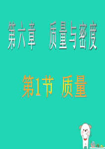 八年级物理上册 6.1 质量课件 （新版）新人教版