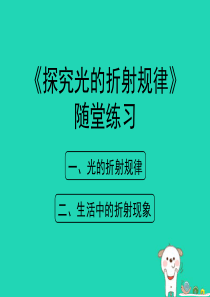 八年级物理上册 3.4《探究光的折射规律》随堂练习课件 （新版）粤教沪版