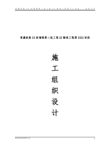 青藏铁路某特长双洞单线隧道施工组织设计(投标)_