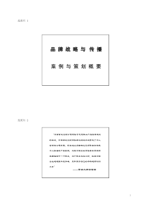 品牌战略与传播大纲EMBA__北大北电