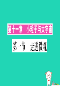 八年级物理全册 第十一章 第一节 走进微观习题课件 （新版）沪科版