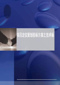 项目定位策划投标方案之技术标