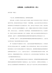 品牌战略：企业熬过寒冬的一把火(doc5)(1)