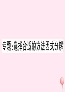 八年级数学上册 专题 选择合适的方法因式分解习题课件 （新版）新人教版