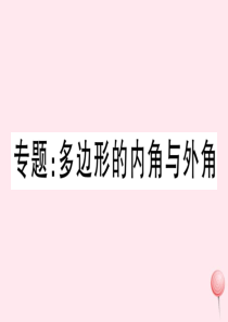 八年级数学上册 专题 多边形的内角与外角习题课件 （新版）新人教版