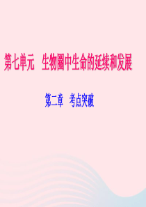 八年级生物下册 第七单元 第二章 生物的遗传与变异考点突破习题课件 （新版）新人教版